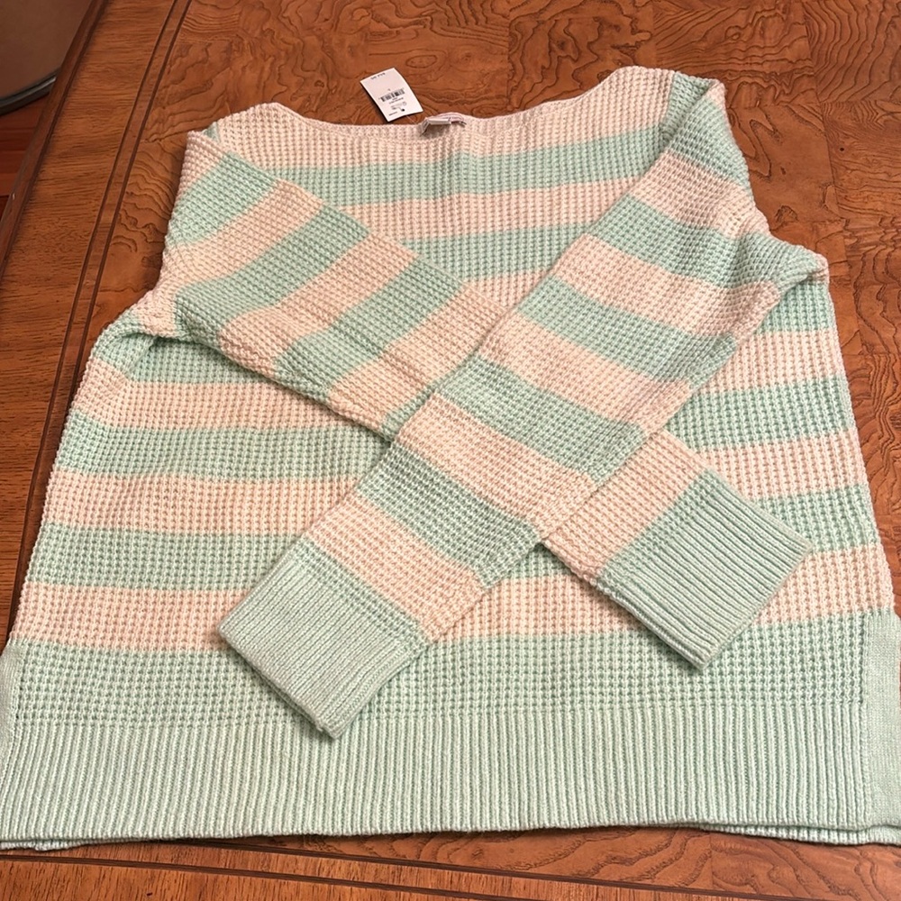 GAP medium weight sweater